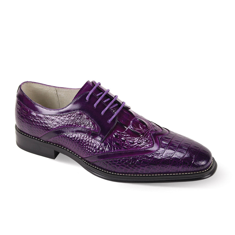 Giovanni Shane Purple