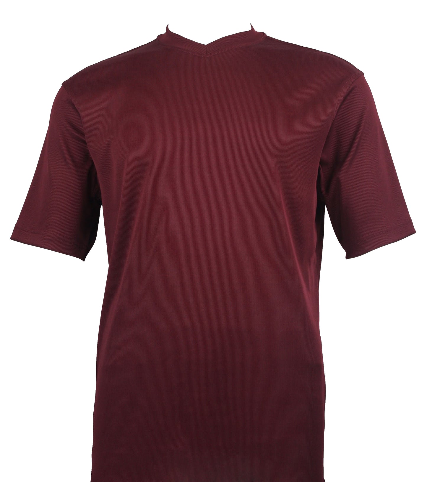 Bassiri Short Sleeve V-Neck T-Shirt Style #219 Plum