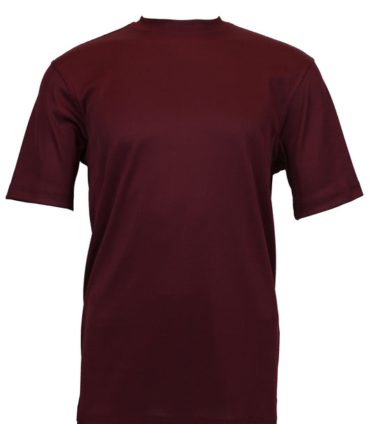 Bassiri Short Sleeve Mock Neck T-Shirt Style #218 Plum