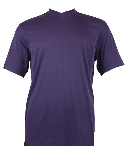 Bassiri Short Sleeve V-Neck T-Shirt Style #219 Purple