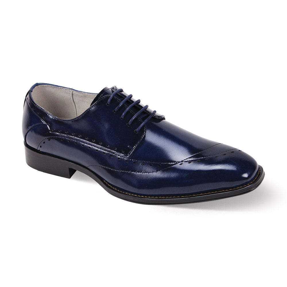 Giovanni Triston Blue