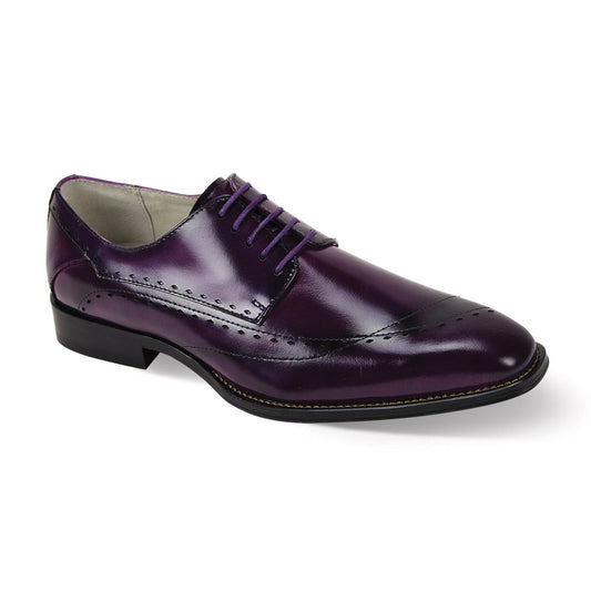 Giovanni Triston Purple